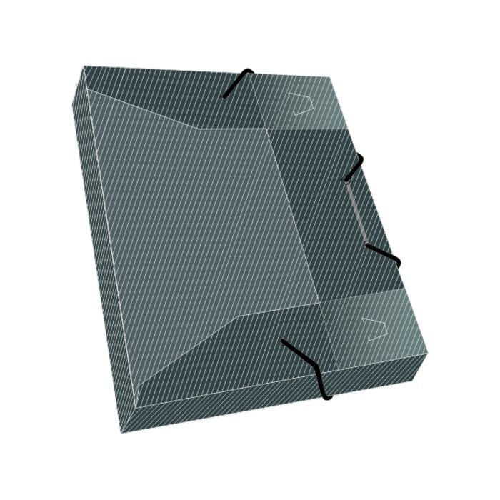 Caja con elastico rideo a4 4cm.translucida color sur