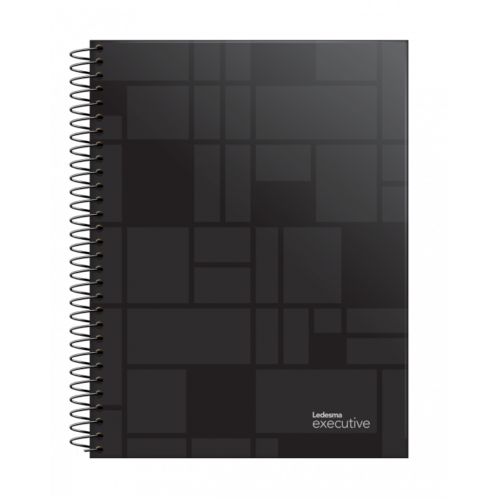 Cuaderno ledesma executive  16x21 120 hojas